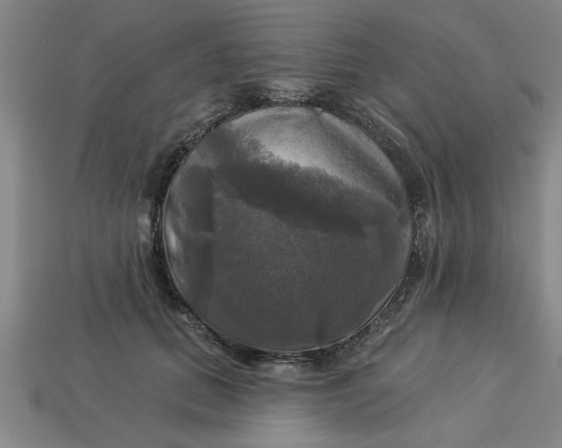 X0000113300655200910051043