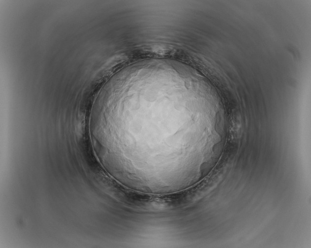 X0000113300656200910051043