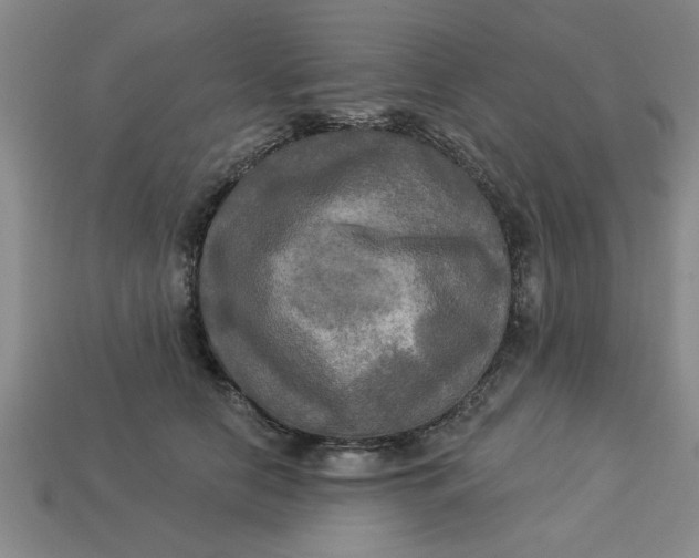 X0000113300658200910051043