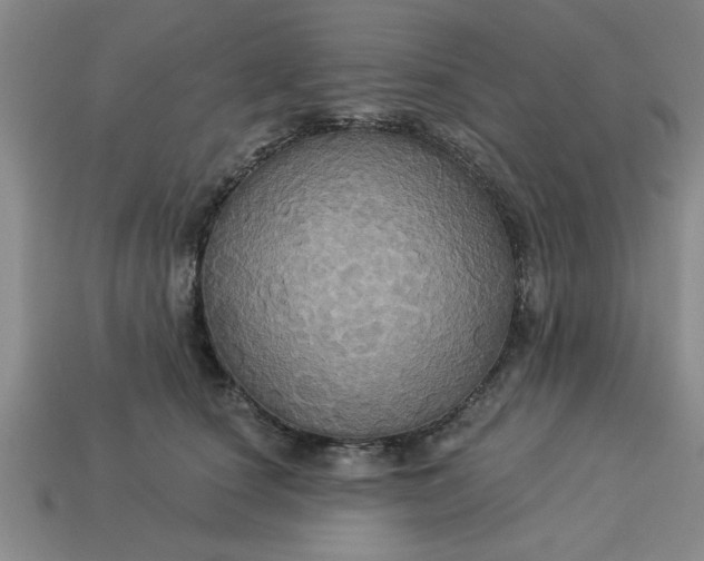 X0000113300660200910051043