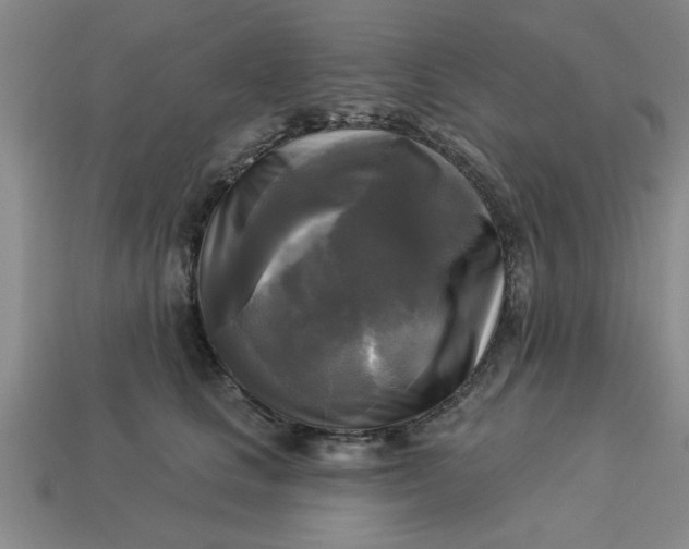 X0000113300661200910051043