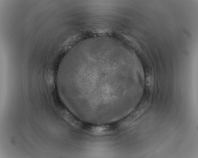 X0000113300662200910051043