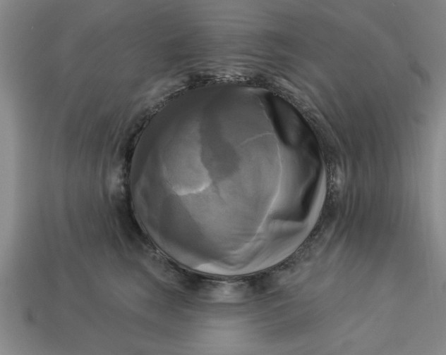 X0000113300663200910051043