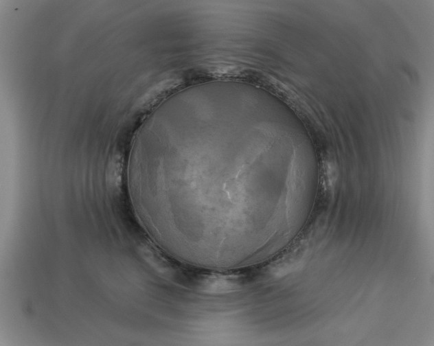 X0000113300664200910051043