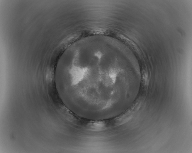 X0000113300665200910051043