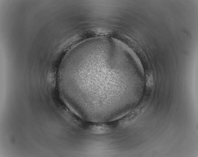 X0000113300666200910051043