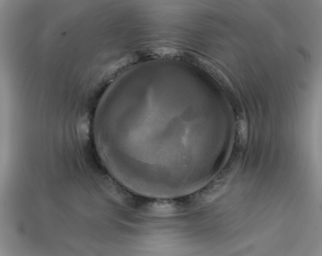 X0000113300668200910051043