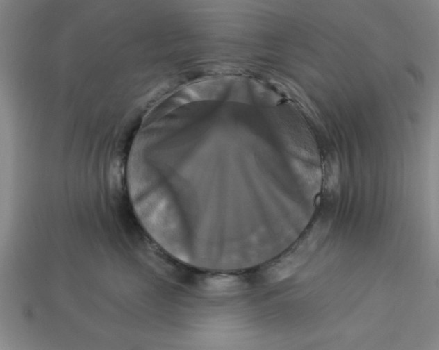 X0000113300669200910051043