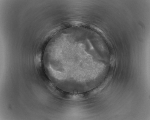 X0000113300670200910051043