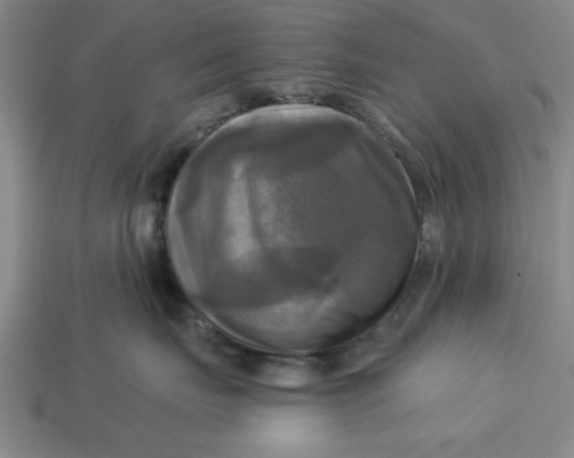 X0000113300671200910051043