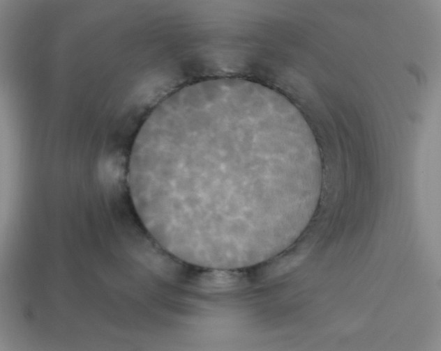 X0000113300672200910051043