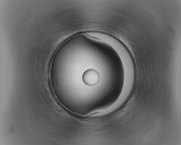 X0000113300673200910051043