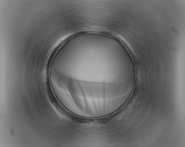 X0000113300674200910051043