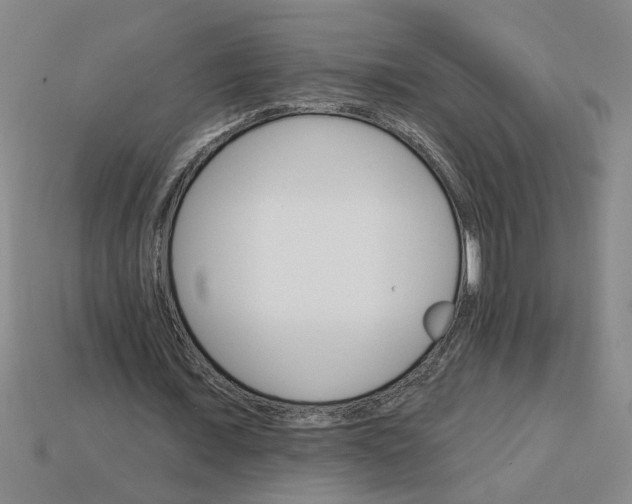 X0000113300675200910051043