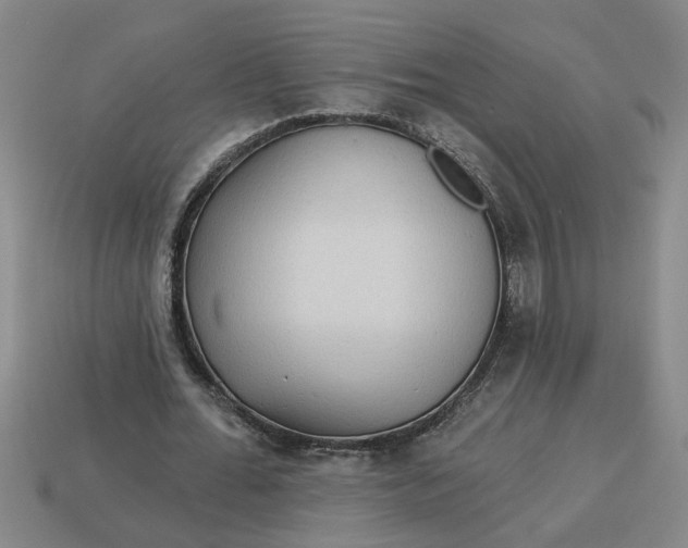 X0000113300676200910051043