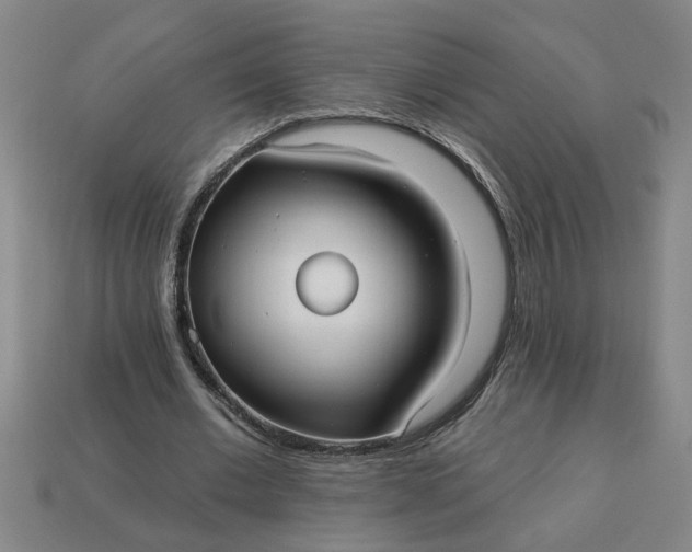 X0000113300677200910051043