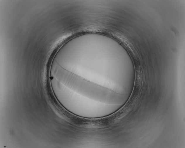 X0000113300678200910051043