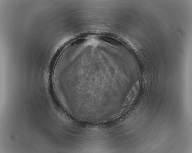 X0000113300679200910051043