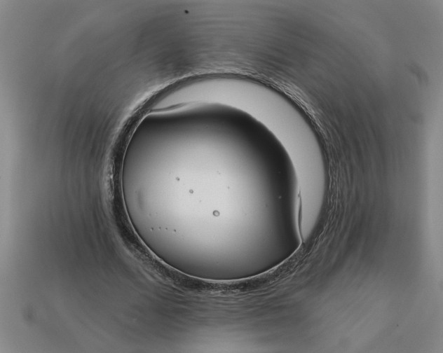 X0000113300680200910051043