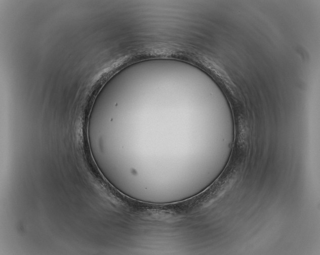 X0000113300681200910051043