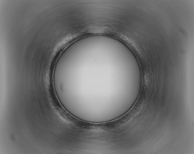 X0000113300682200910051043