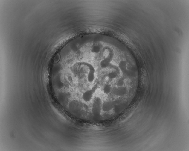 X0000113300683200910051043