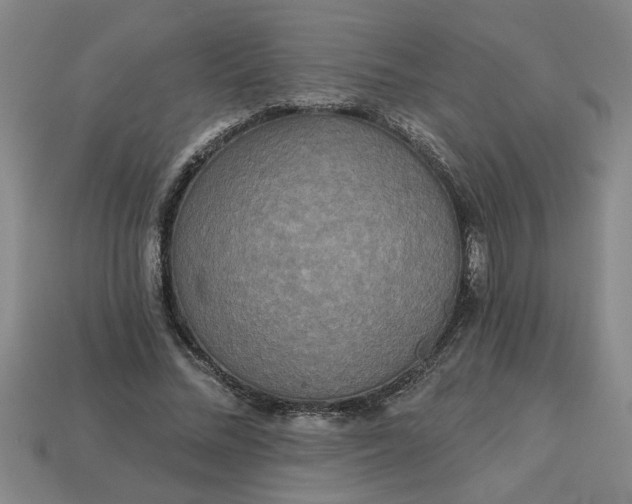 X0000113300684200910051043