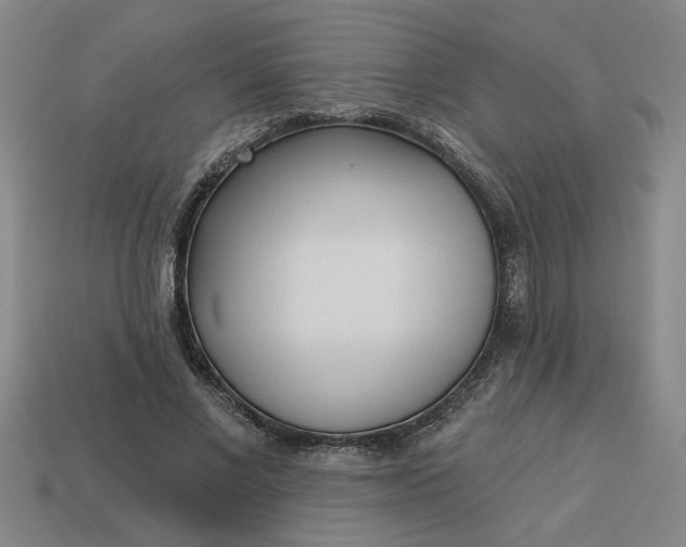 X0000113300685200910051043