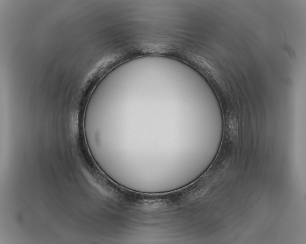 X0000113300686200910051043