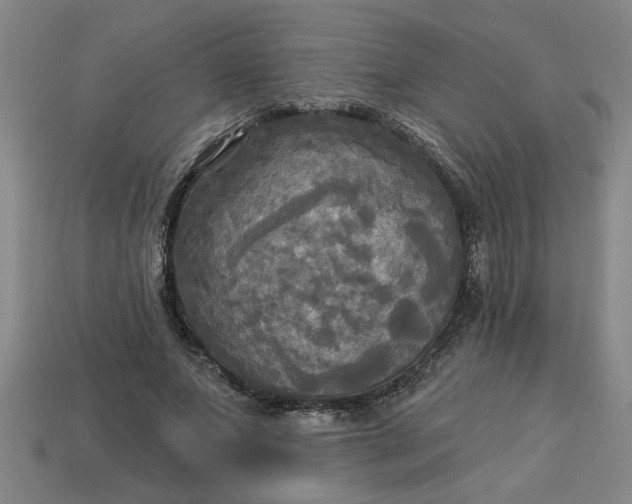 X0000113300687200910051043