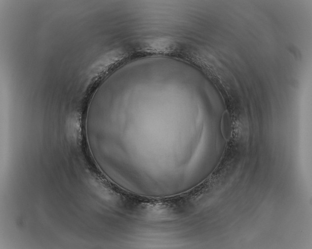 X0000113300688200910051042