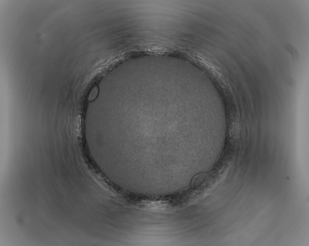 X0000113300689200910051042