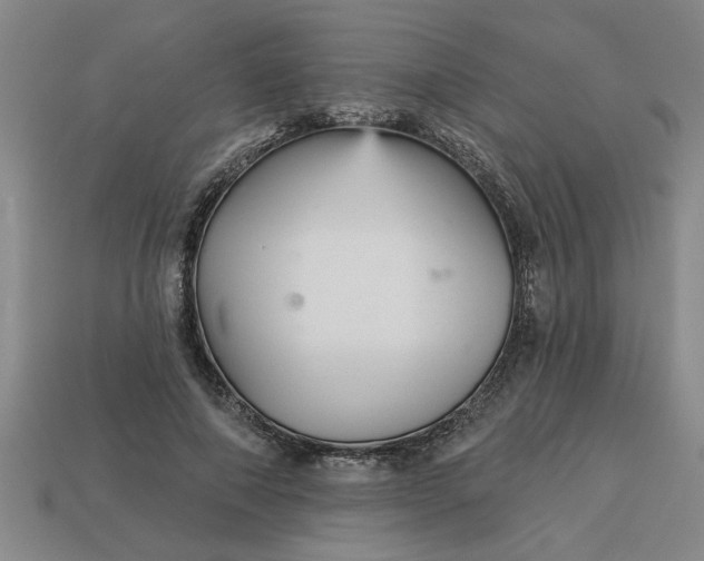 X0000113300690200910051042