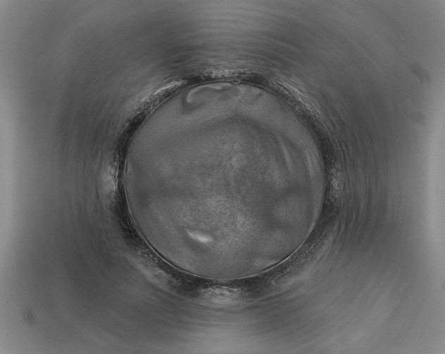 X0000113300691200910051042