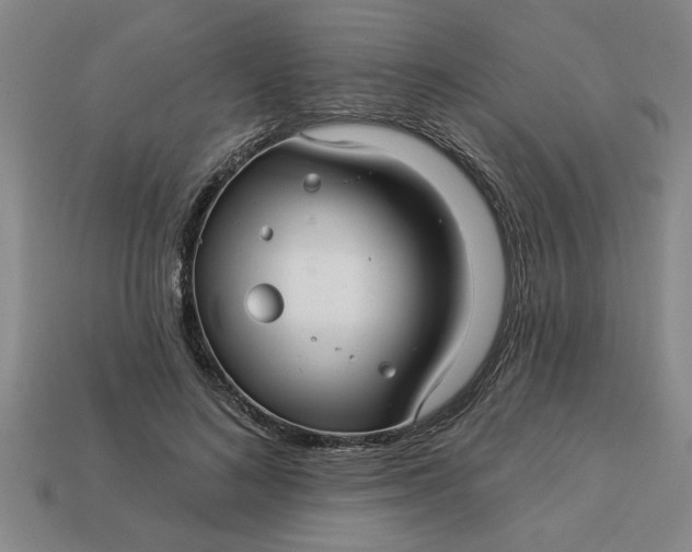 X0000113300692200910051042