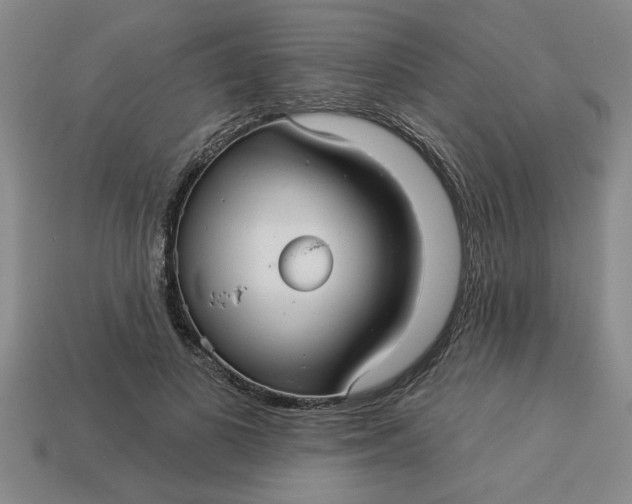 X0000113300693200910051042