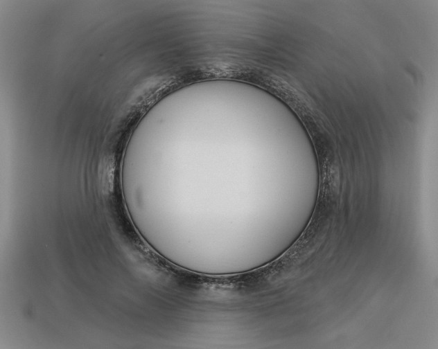 X0000113300694200910051042