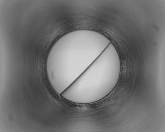 X0000113300695200910051042