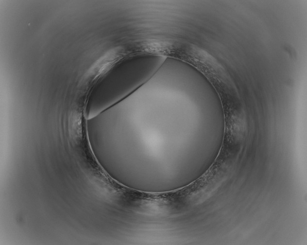 X0000113300696200910051042