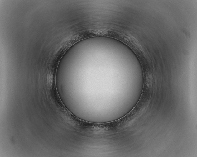 X0000113300697200910051042