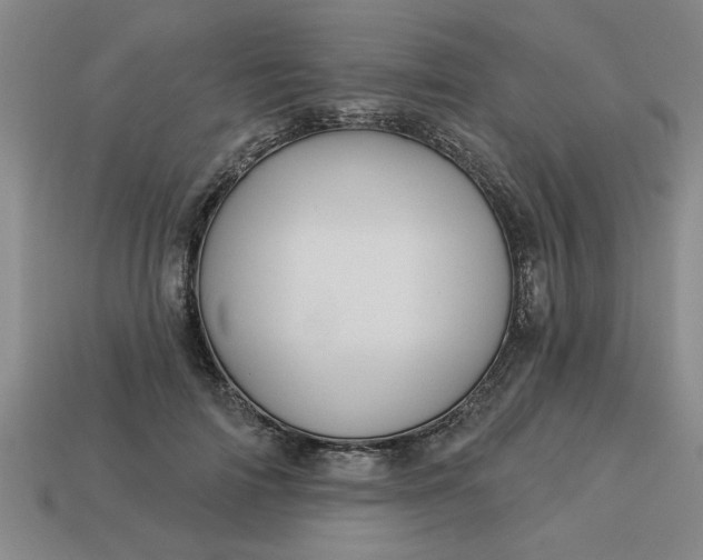 X0000113300698200910051042