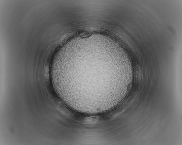 X0000113300700200910051042