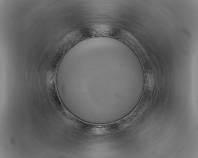 X0000113300701200910051042