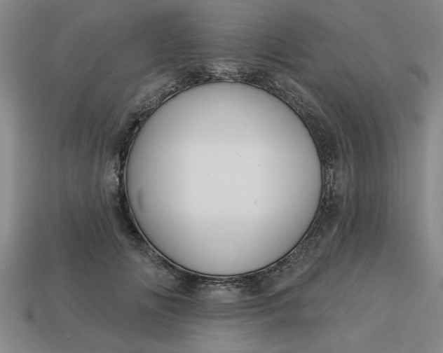 X0000113300702200910051042