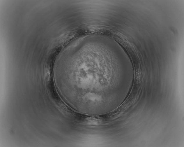 X0000113300703200910051042