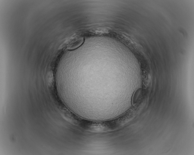 X0000113300704200910051042