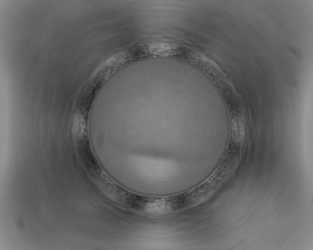 X0000113300705200910051042