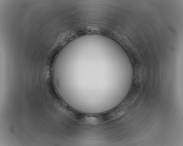 X0000113300706200910051042