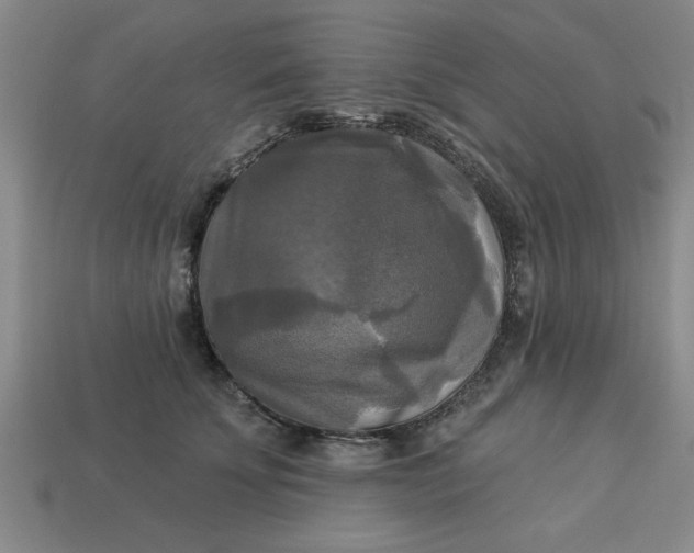 X0000113300707200910051042