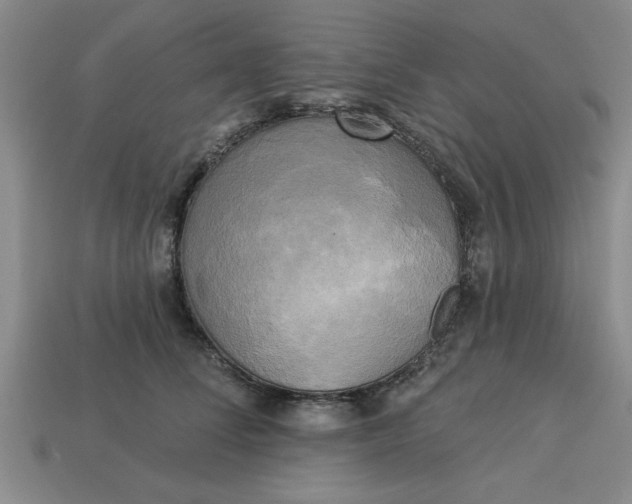 X0000113300708200910051042